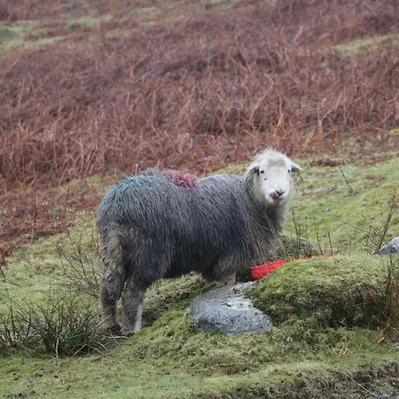 Cherry Tree Barn Feriehus